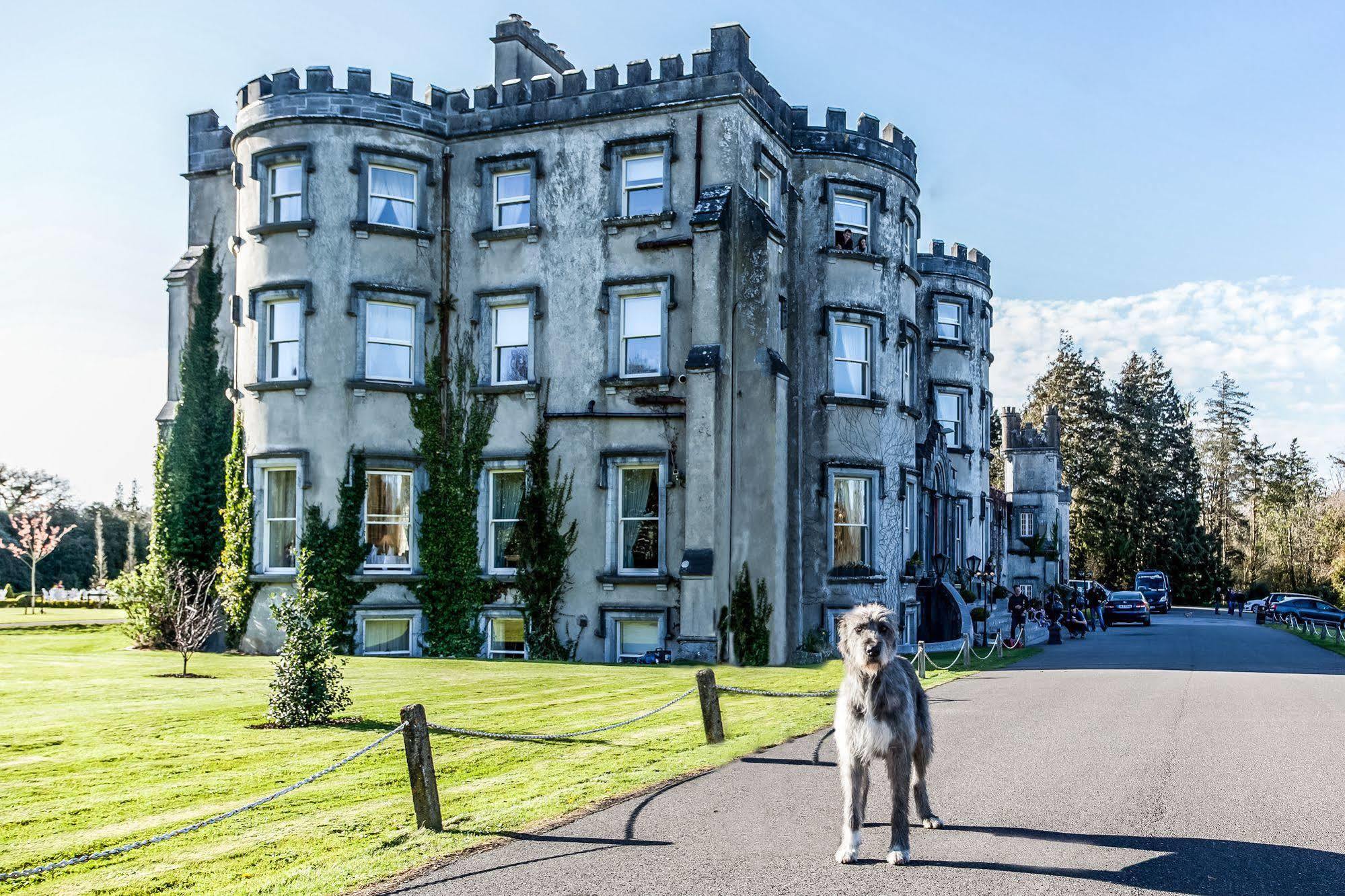 Ballyseede Castle Tralee Eksteriør billede